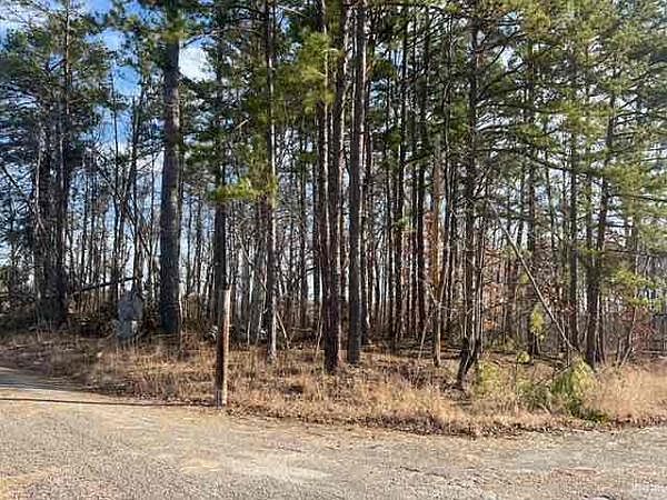 2nd image of County Road 1131