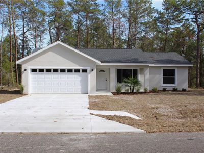 20 Malauka Pass Crse, Ocklawaha, FL, 32179