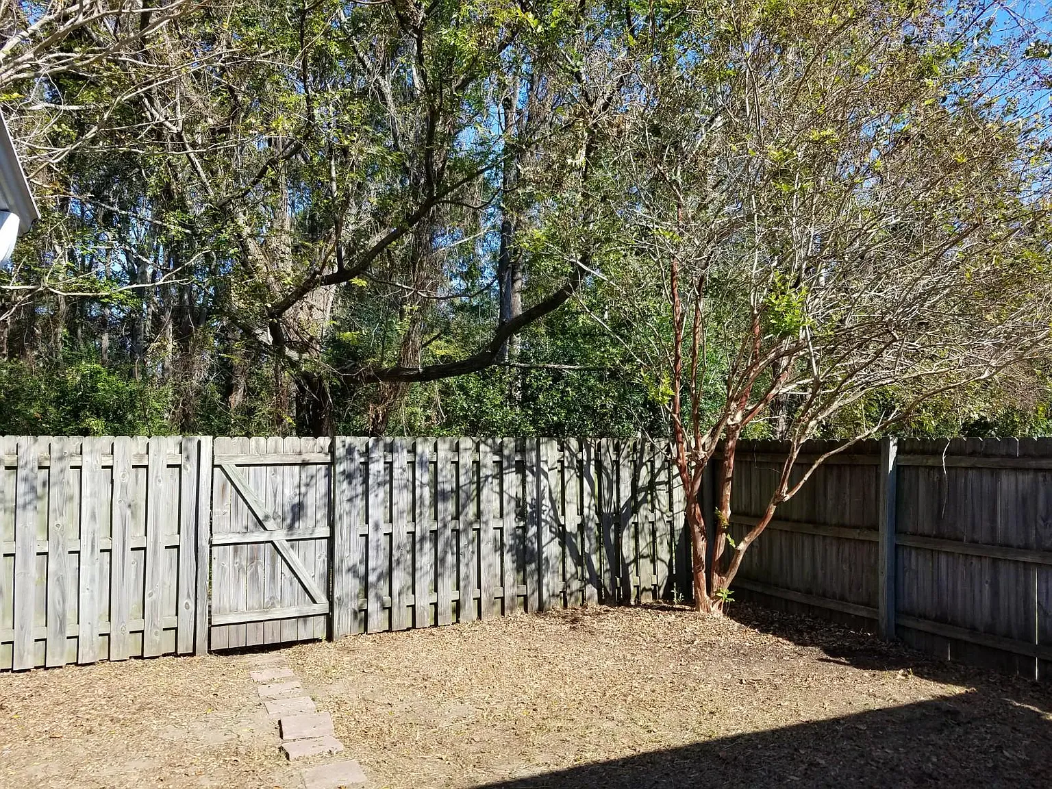2 bed, 1080 sqft, $2,250 — Photo 3
