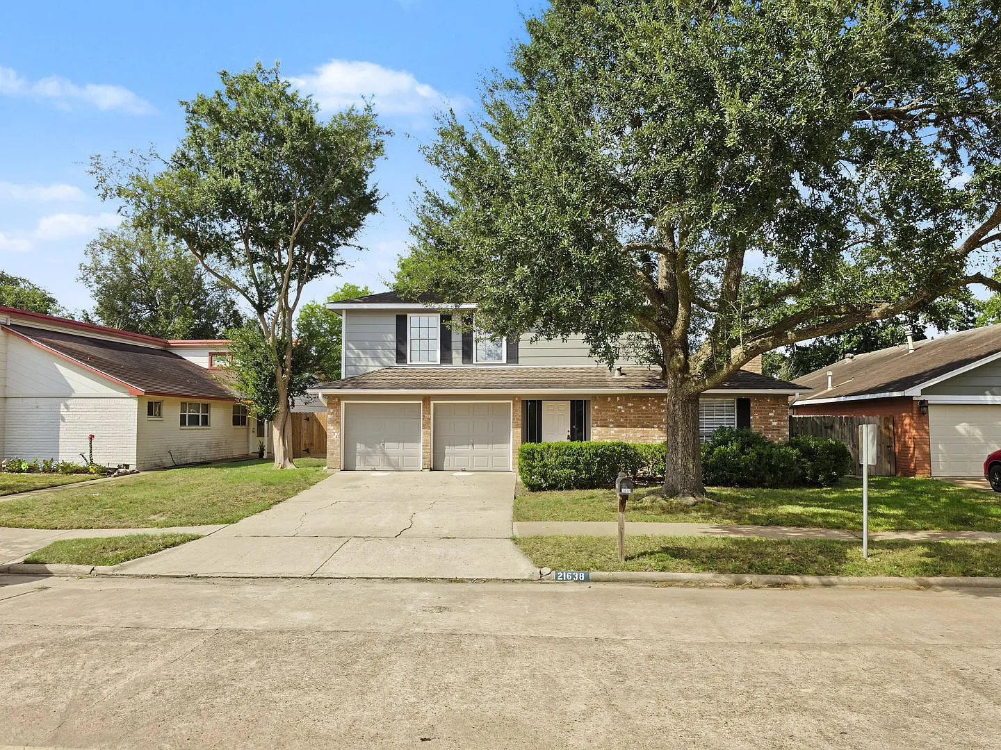 Park Tree 21638 — Photo 1
