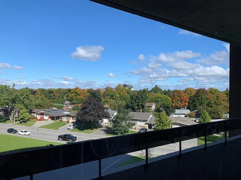 2220 Halifax Dr — Photo 37