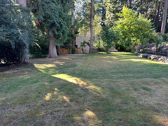 Huge backyard