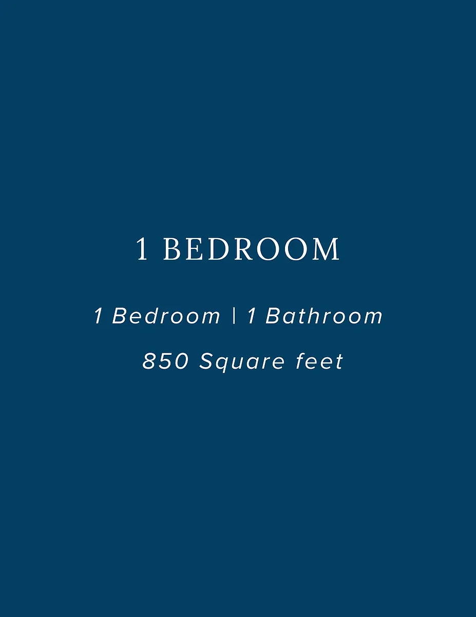 Floor plan 1 Bedroom 1 Bathroom