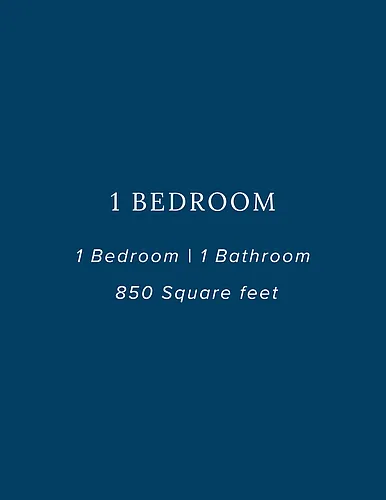 Floor plan 1 Bedroom 1 Bathroom