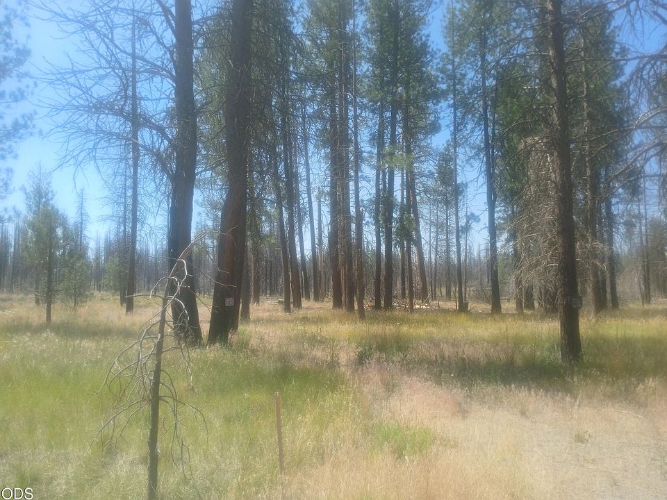 1st image of 34228 Zebra Ln