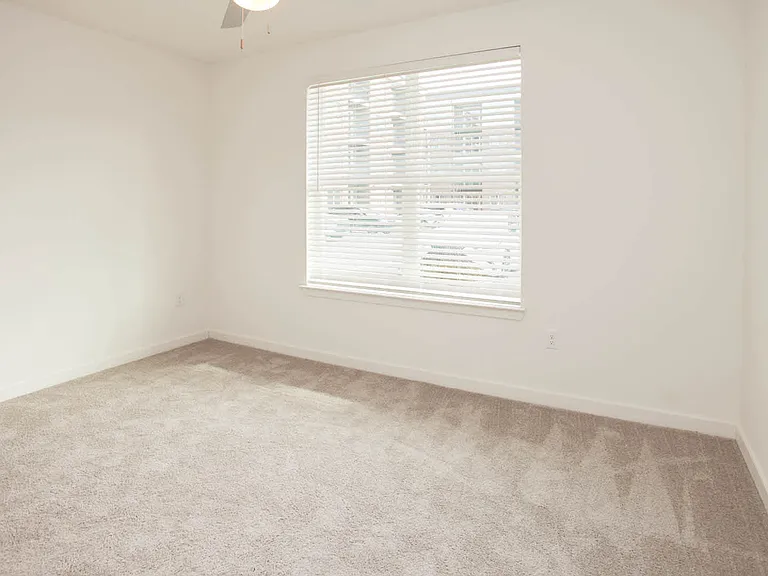 Carpeted Bathroom