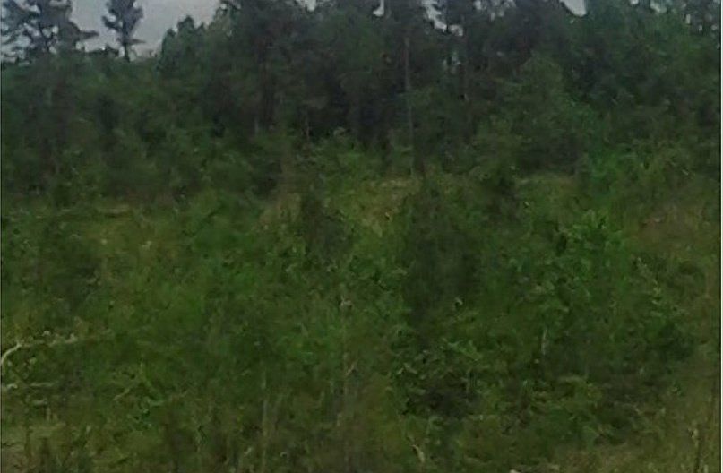 2nd image of 16 Hempstead