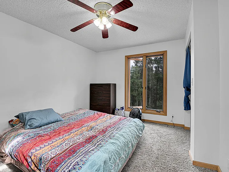 204 Bristlecone Way — Photo 21