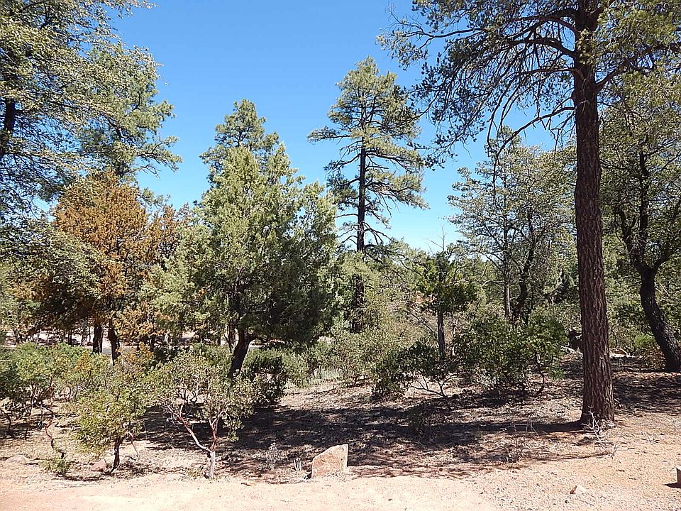 1st image of 2307 E Indian Pink Cir