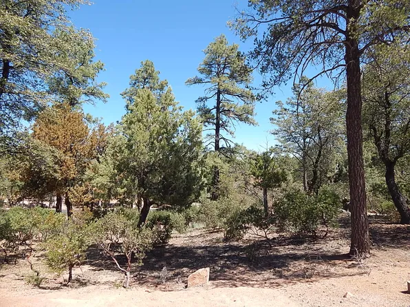 2307 E Indian Pink Cir, Payson, AZ 85541
