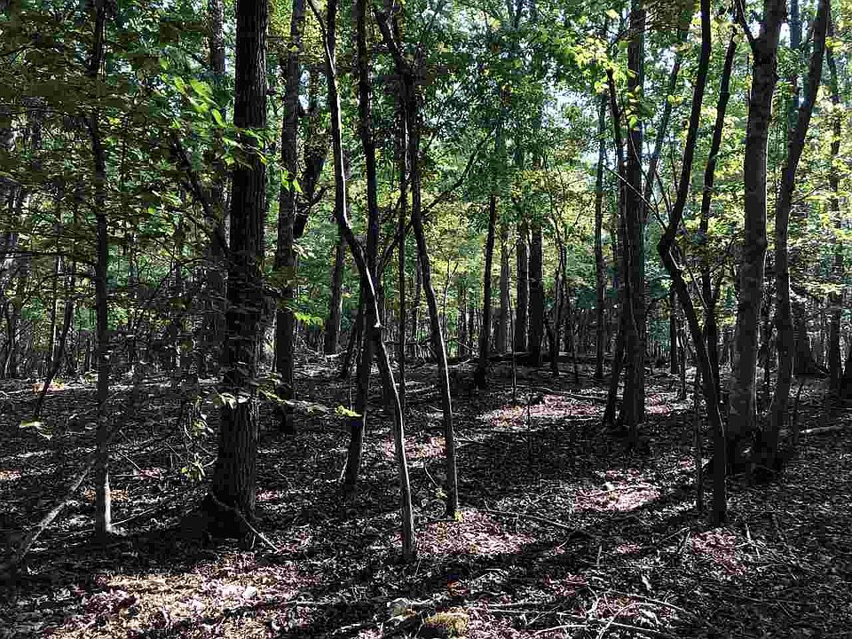 2nd image of LOT 2C Zoia Ln Lot 2C