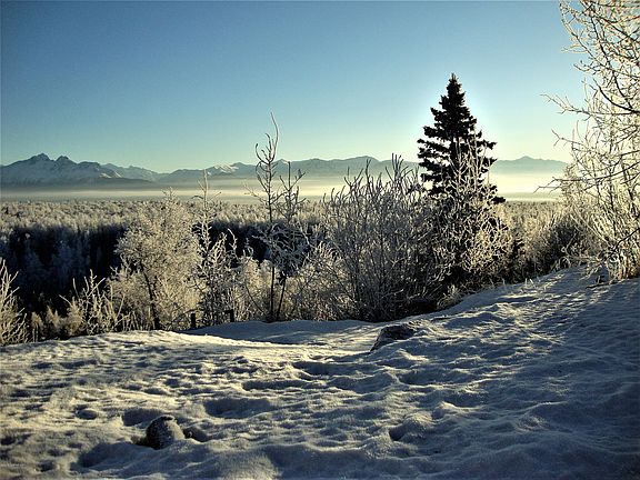 5th image of 2891 W Top Of The World Cir