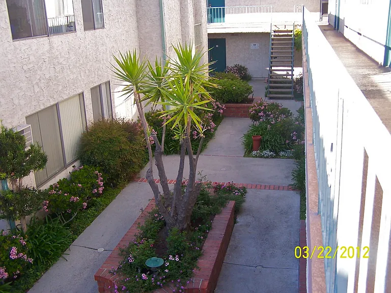 Haskell Granada — Photo 24