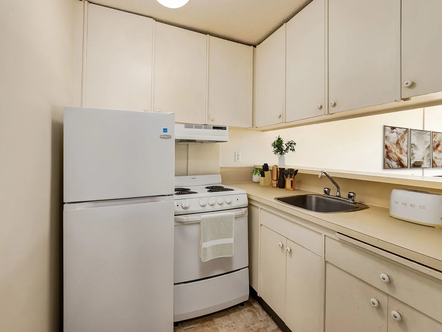 1 bed, 450 sqft, $850 — Photo 3