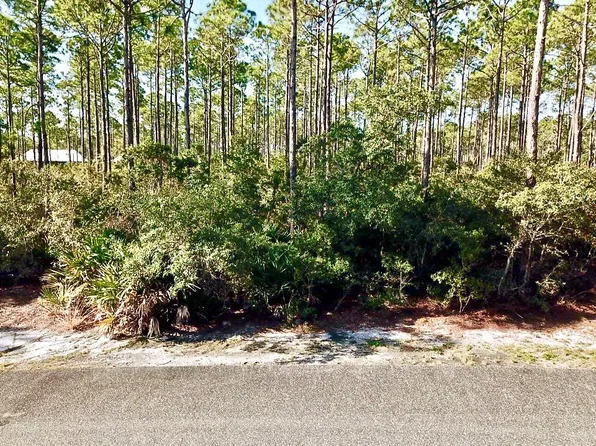 116 Treehouse Cir, Lanark Village, FL 32323