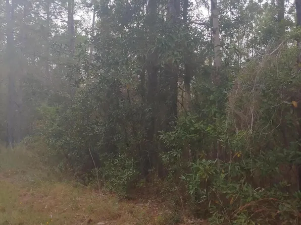 E Marion St Lot 50, Bay Saint Louis, MS 39520