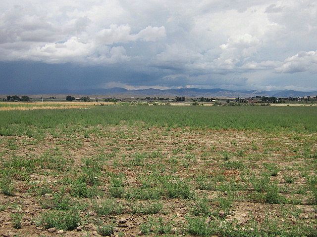 1st image of 8 Road 45.10 Acres