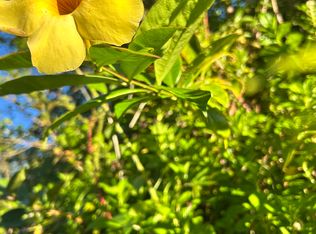 Kahoolawe Rd, Pahoa, HI 96778