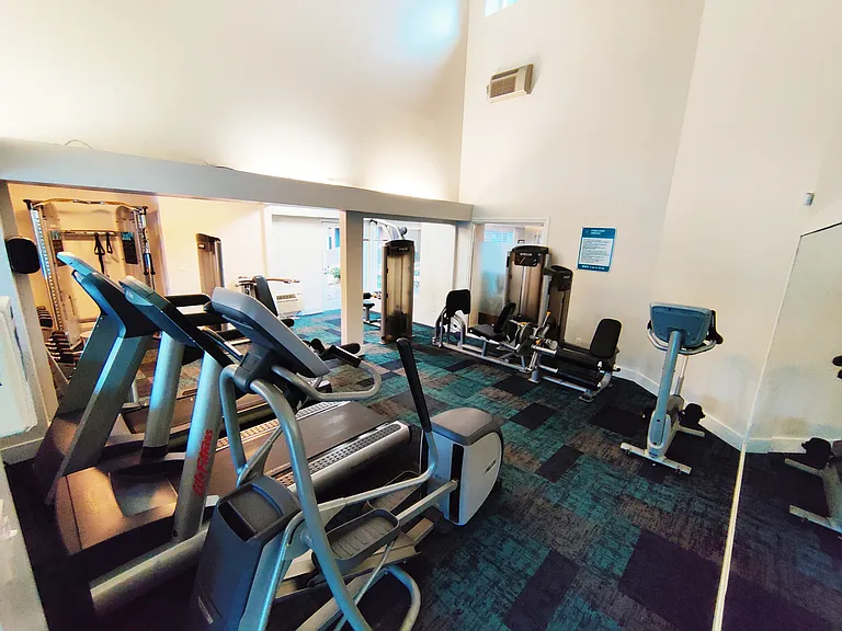Gym!