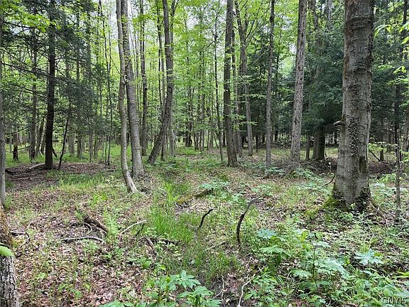 5th image of Kellogg Hill Rd