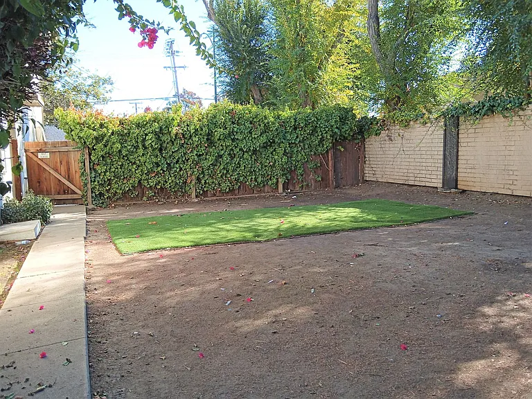 Oli02 — Photo 21