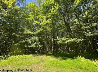 N Branch Holw, Bruceton Mills, WV 26525