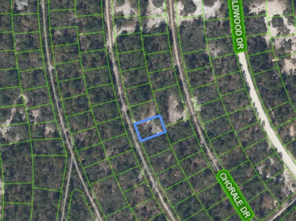 375 CONCERT Drive, Lake Placid, FL 33852