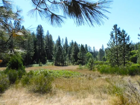 193 State Hwy, Garden Valley, CA 95633