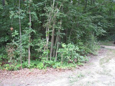 128 Washington Cir, Waverly, TN, 37185