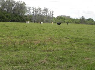 Canoe Creek Rd, Kenansville, FL 34739