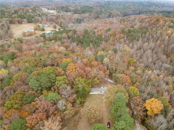 7655 Baptist Campground Rd, Northport, AL 35473