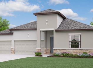 13515 White Sapphire Rd, Riverview, FL 33579