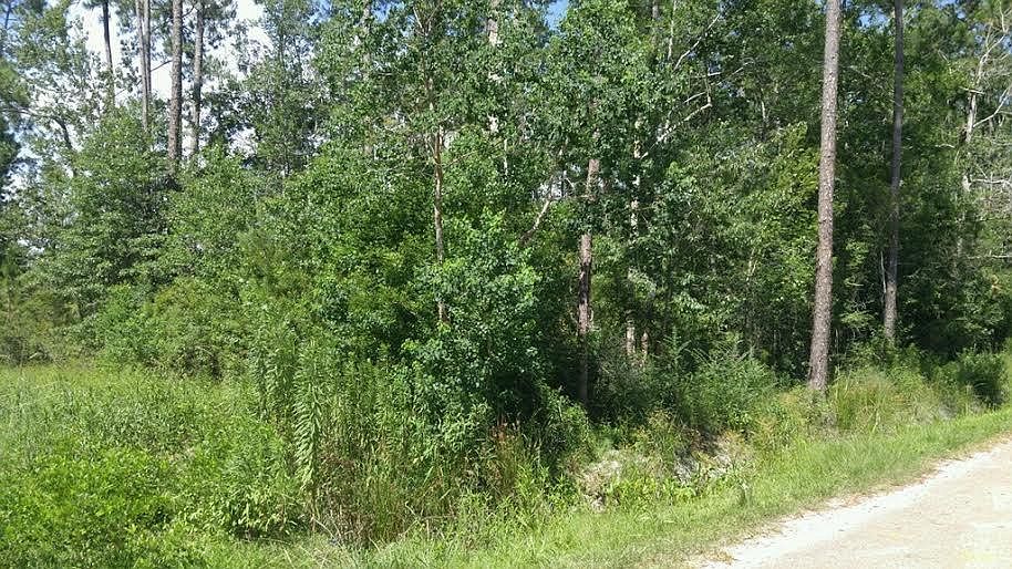 1st image of Birch St