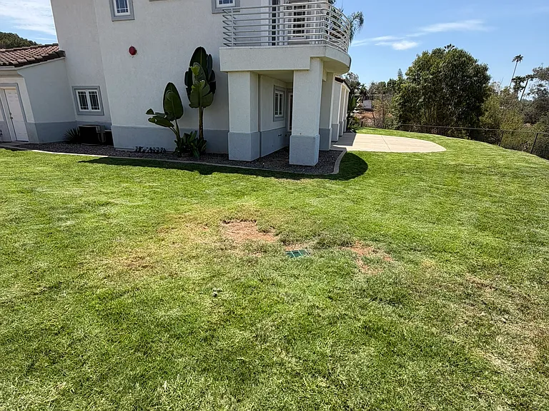 1322 Sonia Ct — Photo 33