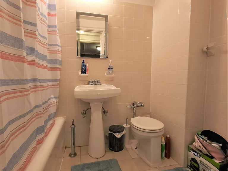 310 E 55th St #3DD — Photo 5