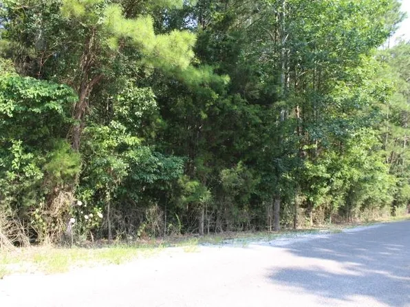 0 Patrick Ln, Cherokee, AL 35616