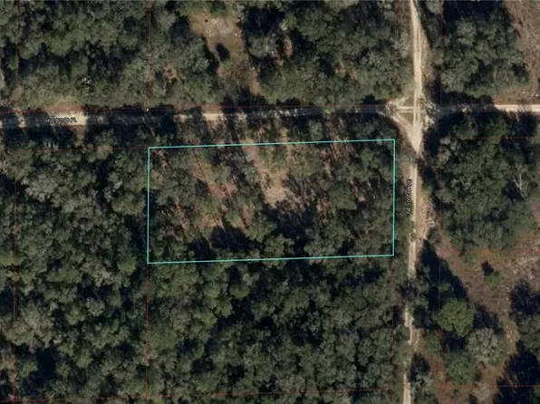 9990 NE 82nd Pl, Bronson, FL 32621