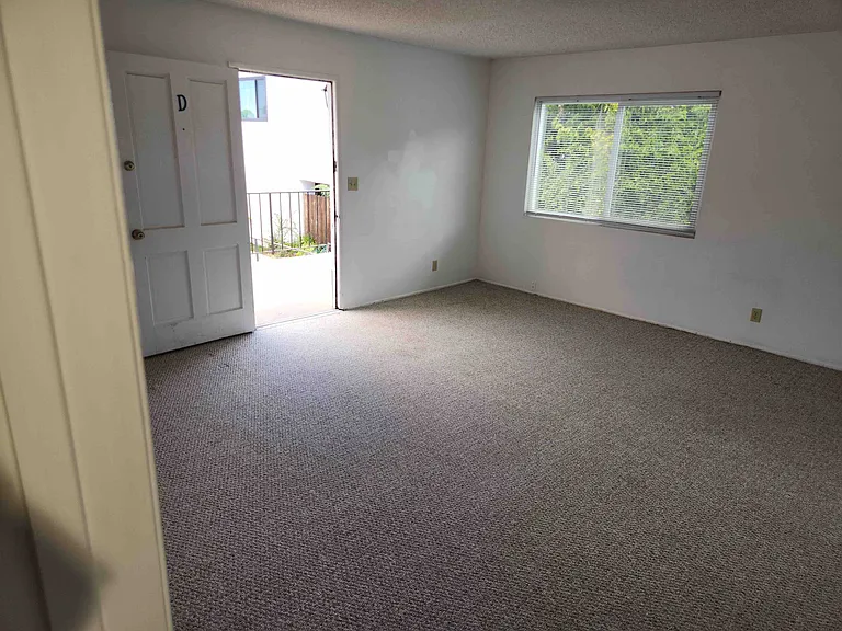 1110 Opal St #D — Photo 8