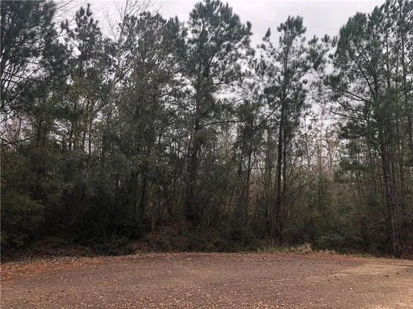 419 Parlange Dr, Pearl River, LA 70452