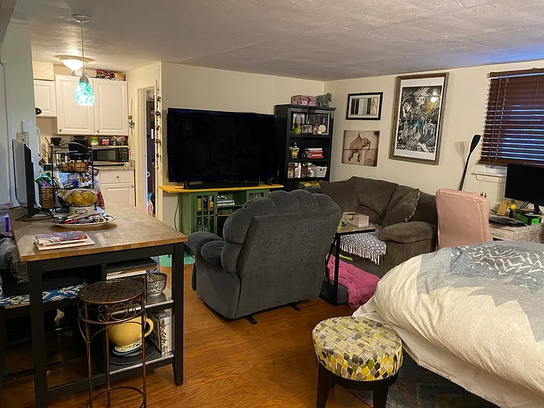 105 Chestnut St #1B — Photo 7