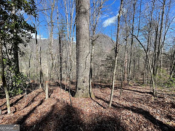 2nd image of 0 Bridge Creek Rd