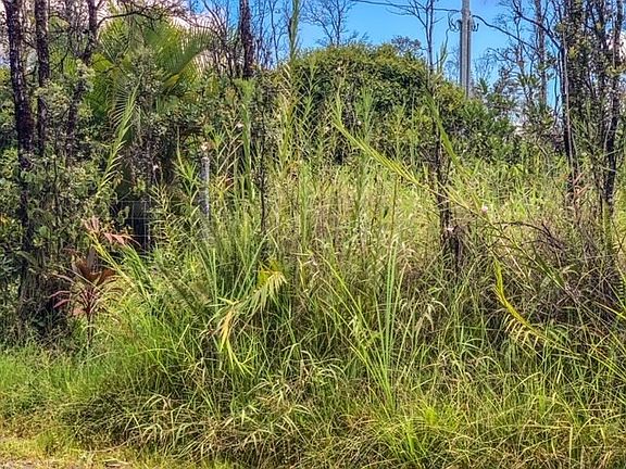 3rd image of 37th Ave Lot 41