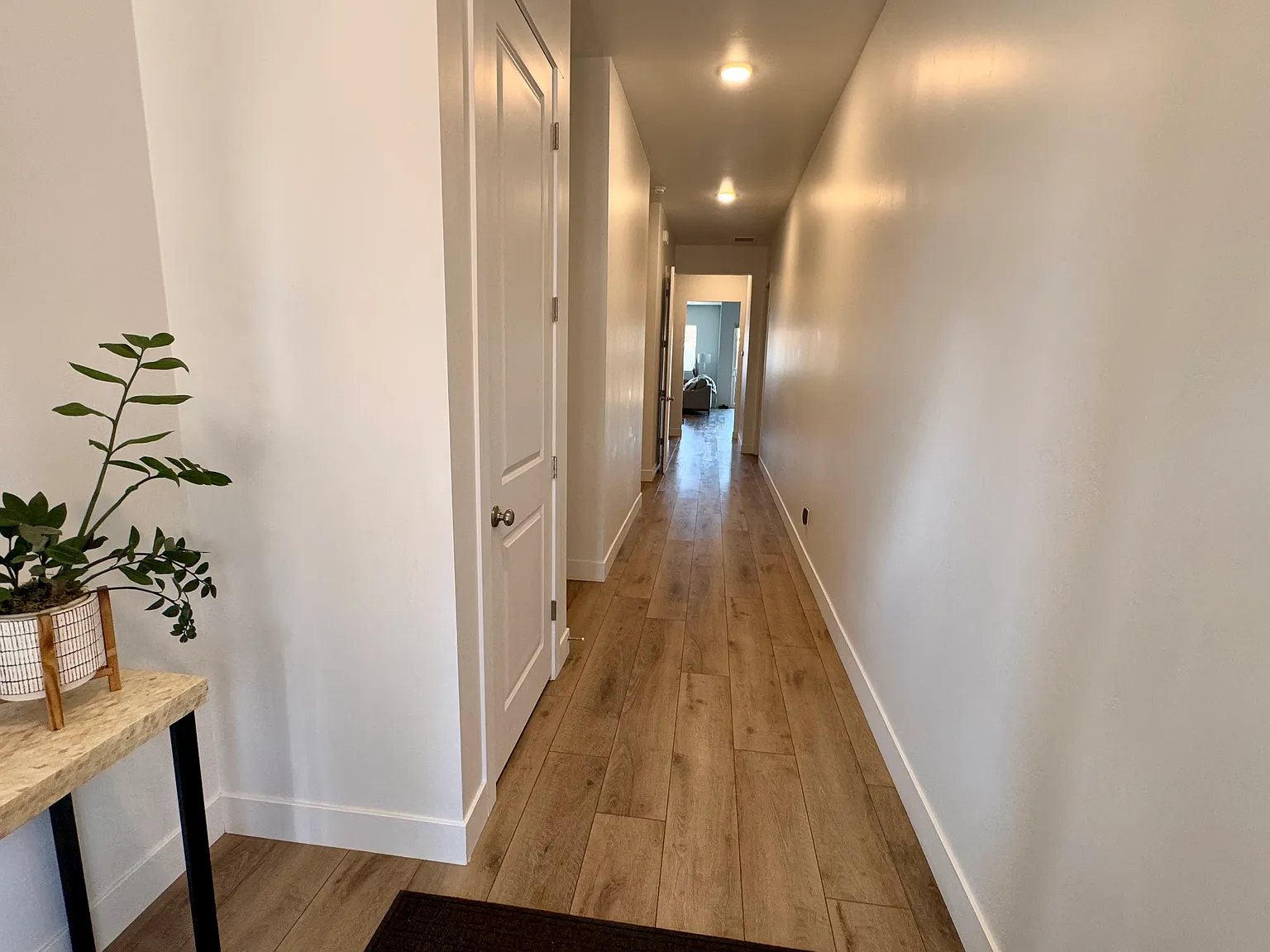 5 bed, 3.5 bath, 3000 sqft, $6,300 — Photo 4