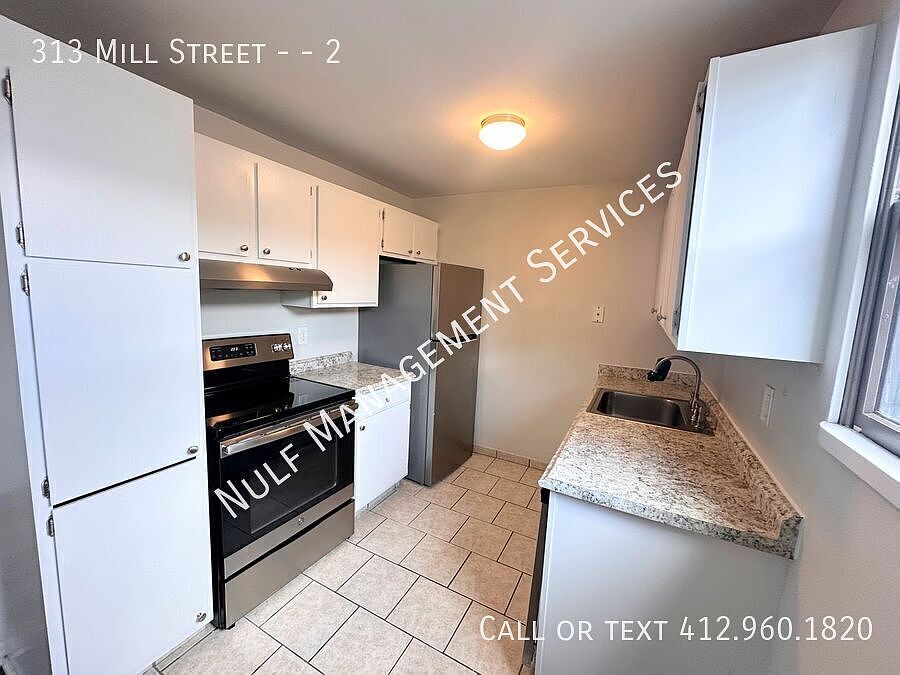 1st image of 313 Mill St APT 2