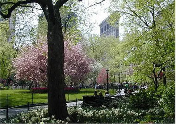 Rented by Compass | media 4