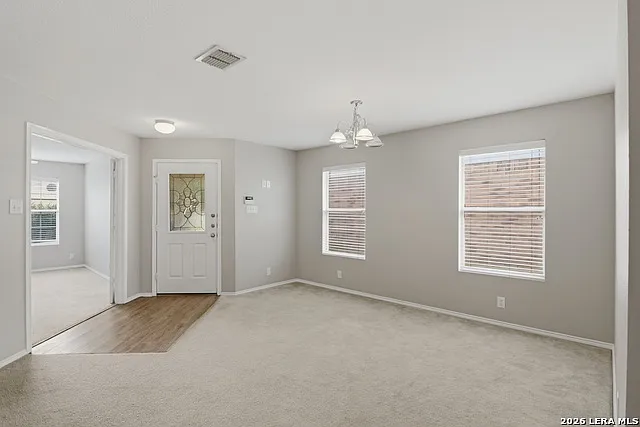 25537 Gold Yarrow — Photo 4