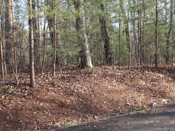 8 Oakcrest Dr, Ellijay, GA 30540