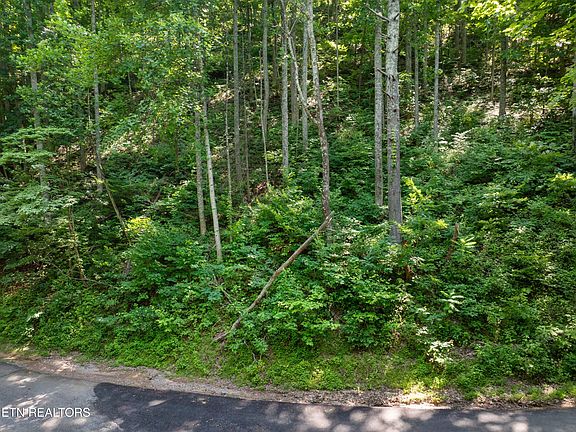 2nd image of Emerald Springs Loop