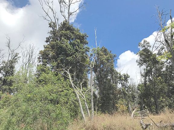 5th image of King Kamehameha Blvd Lot 11
