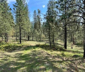 LOT 2 N Junco Way, Kettle Falls, WA, 99141
